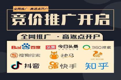 行业报告：专业SEM托管的成功实践与挑战